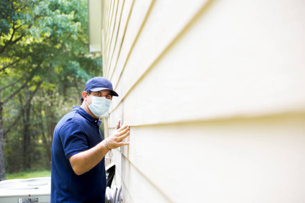 Best Brick Veneer Siding  in Tropical Park, FL